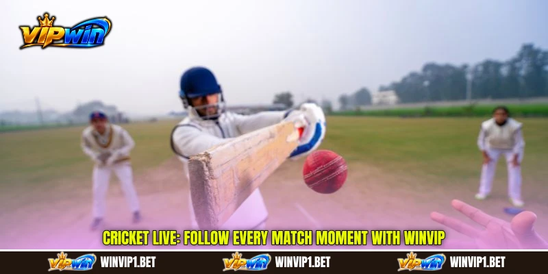 Cricket Live: Follow Every Match Moment With WINVIP
