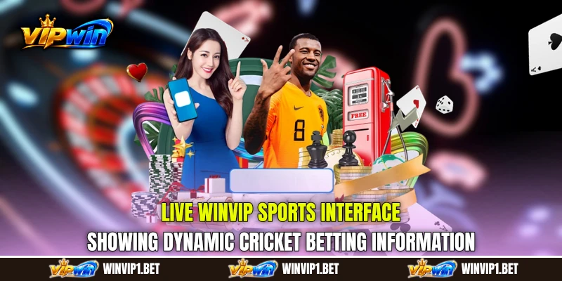 Live WINVIP Sports interface showing dynamic cricket betting information Live WINVIP Sports interface showing dynamic cricket betting information