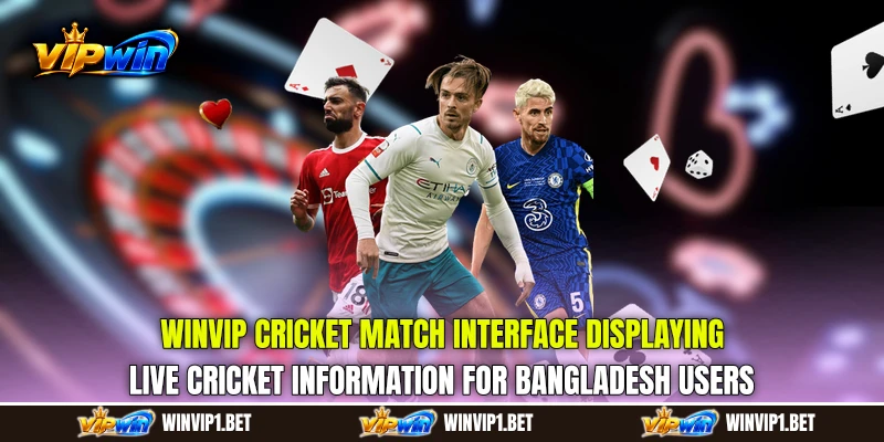 WINVIP Cricket match interface displaying live cricket information for Bangladesh users WINVIP Cricket match interface displaying live cricket information for Bangladesh users